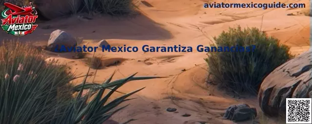 Información sobre Aviator Mexico y ganancias